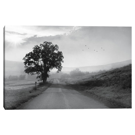 Camino rural brumoso - Lori Deiter