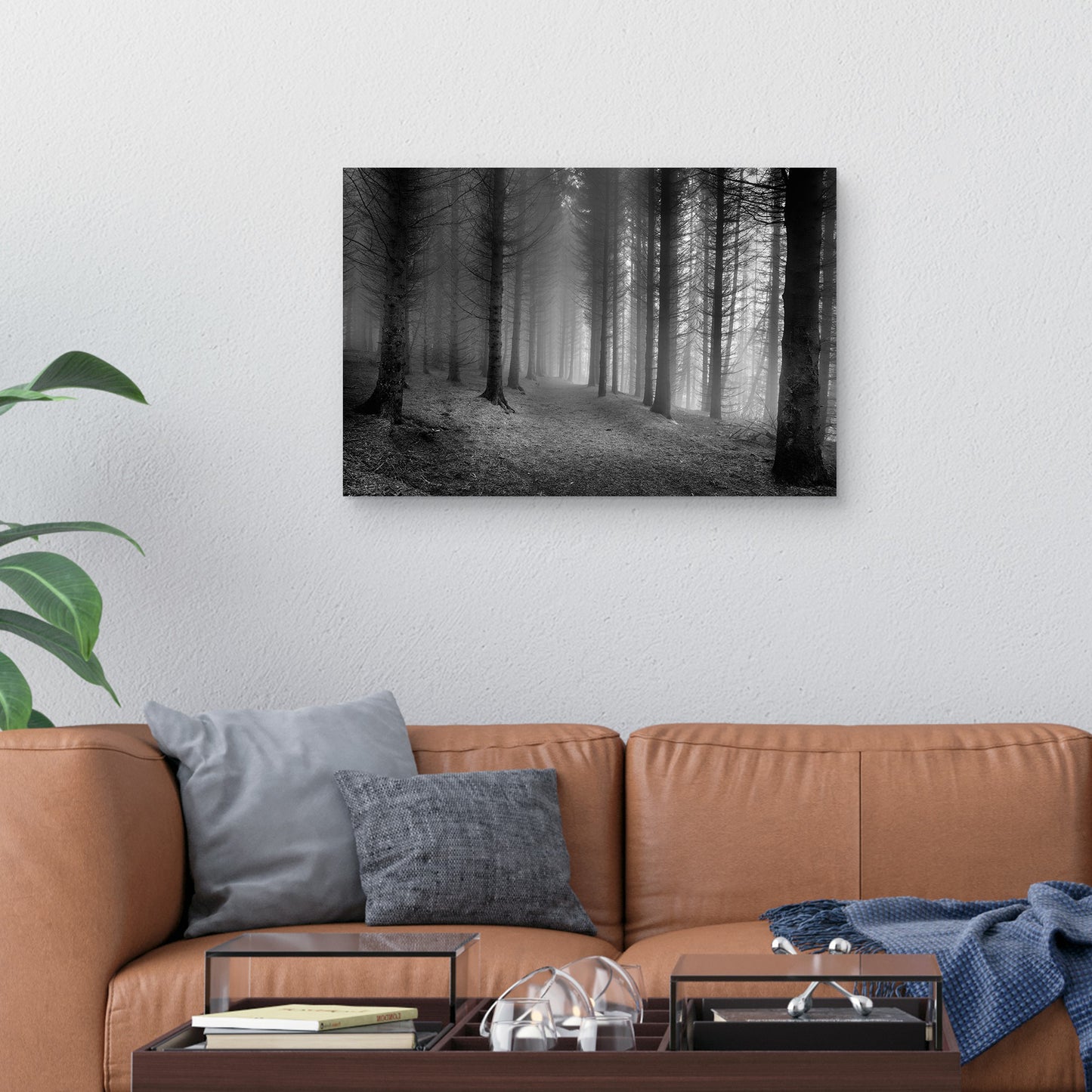 Bosques brumosos - Nocturna