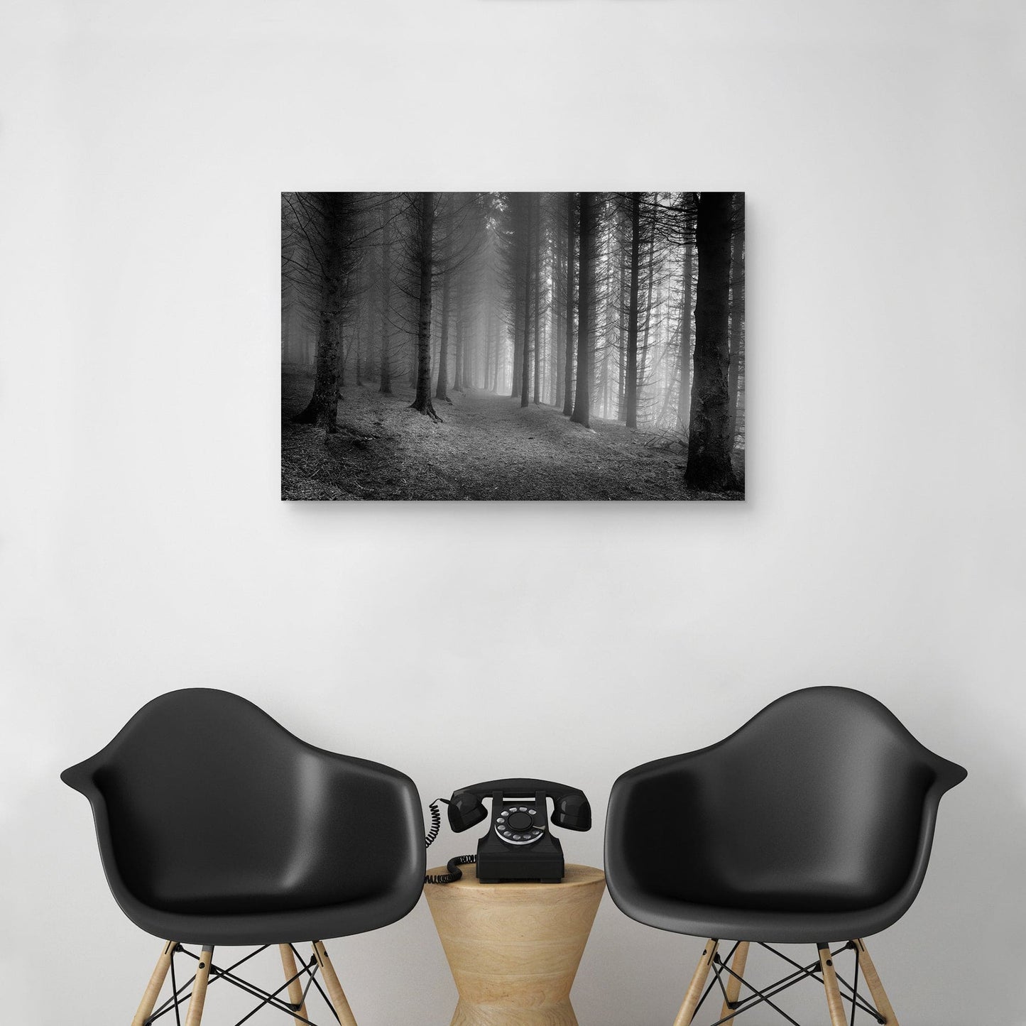Bosques brumosos - Nocturna