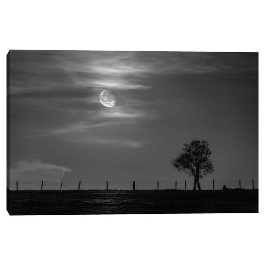 Salida de la Luna - Nocturna