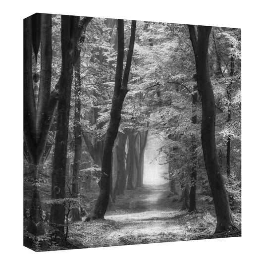 Speuldimensions Primavera B&N - Lars Van de Goor