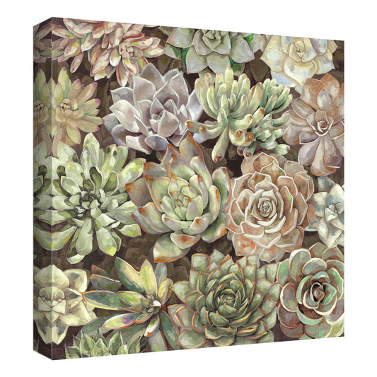 Jardin del desierto suave - Dixon Design Group