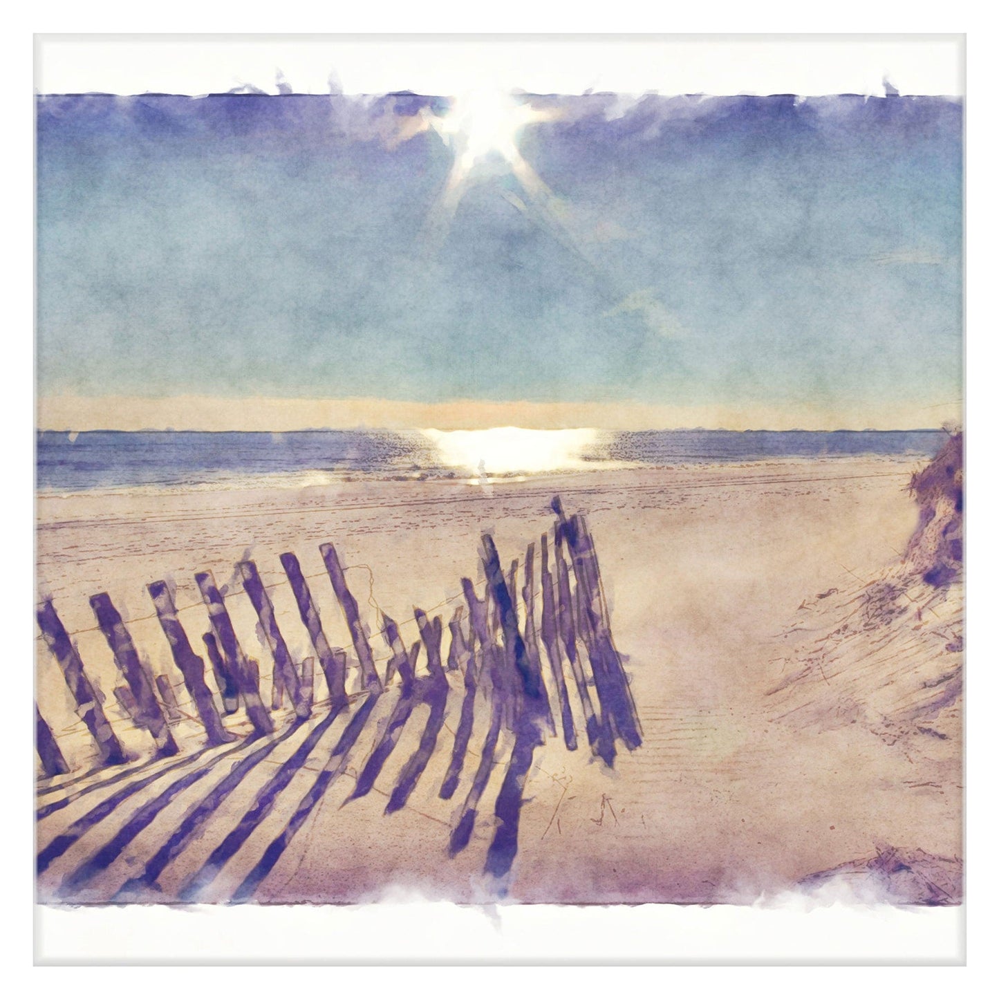 Cultivo ligero cerca de playa - Noah Bay