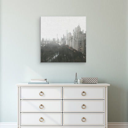 Por encima de Central Park - Noah Bay