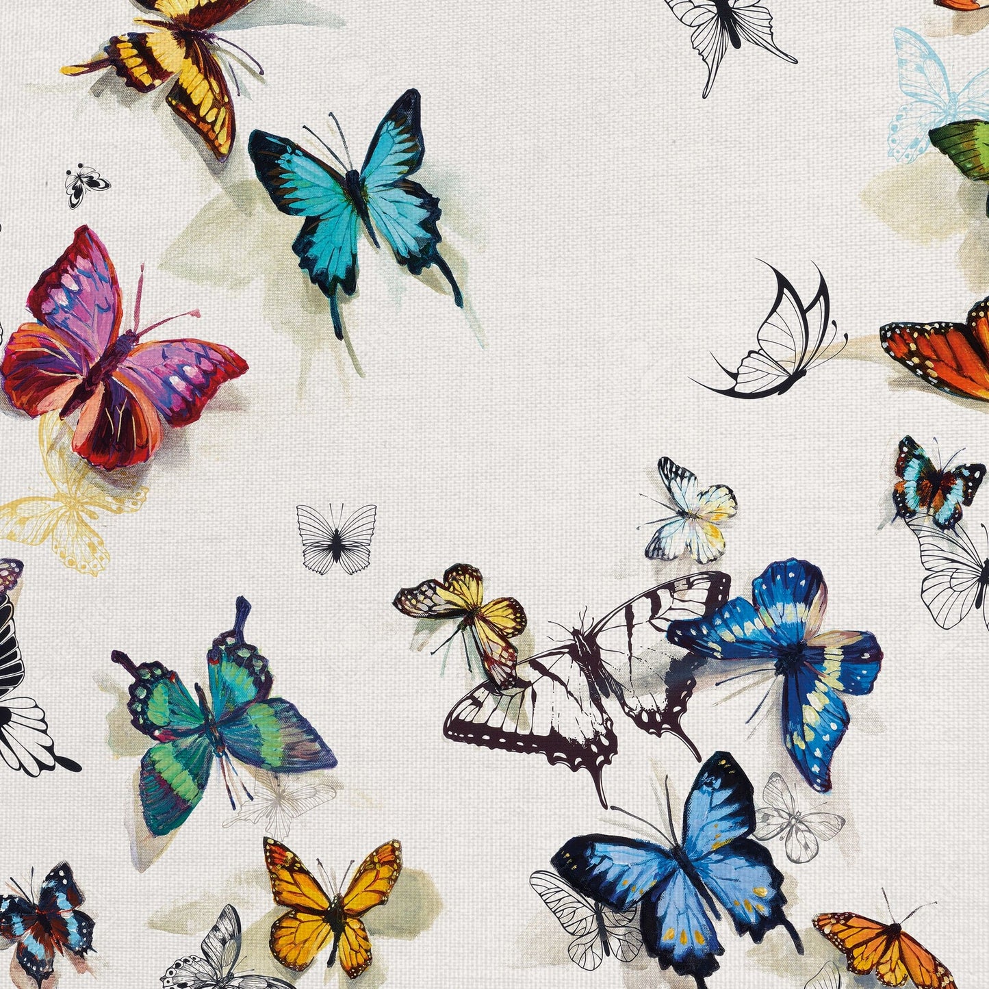Mariposa - Allyson Fukushima