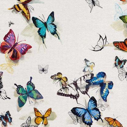 Mariposa - Allyson Fukushima
