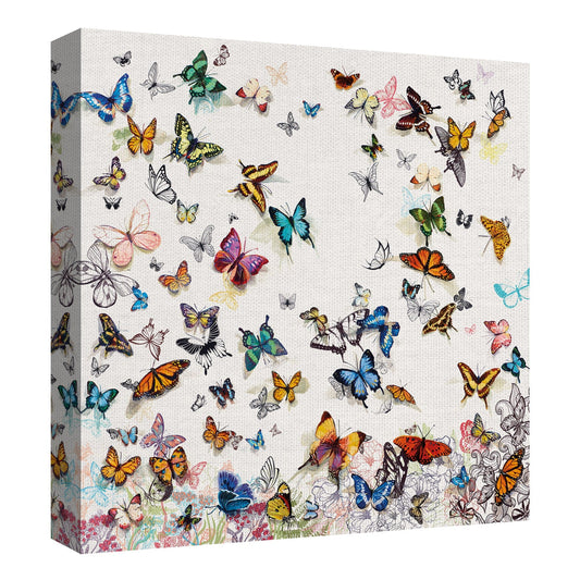 Mariposa - Allyson Fukushima