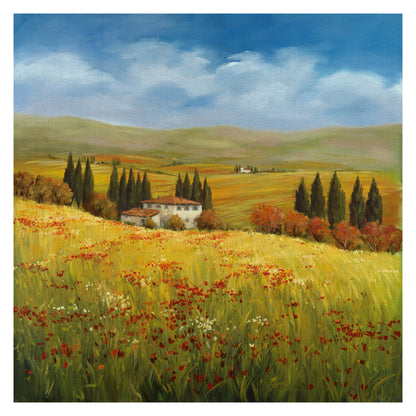 Lo esplendor de la toscana - Tim Howe