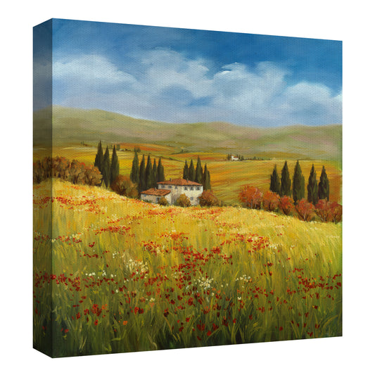 Lo esplendor de la toscana - Tim Howe