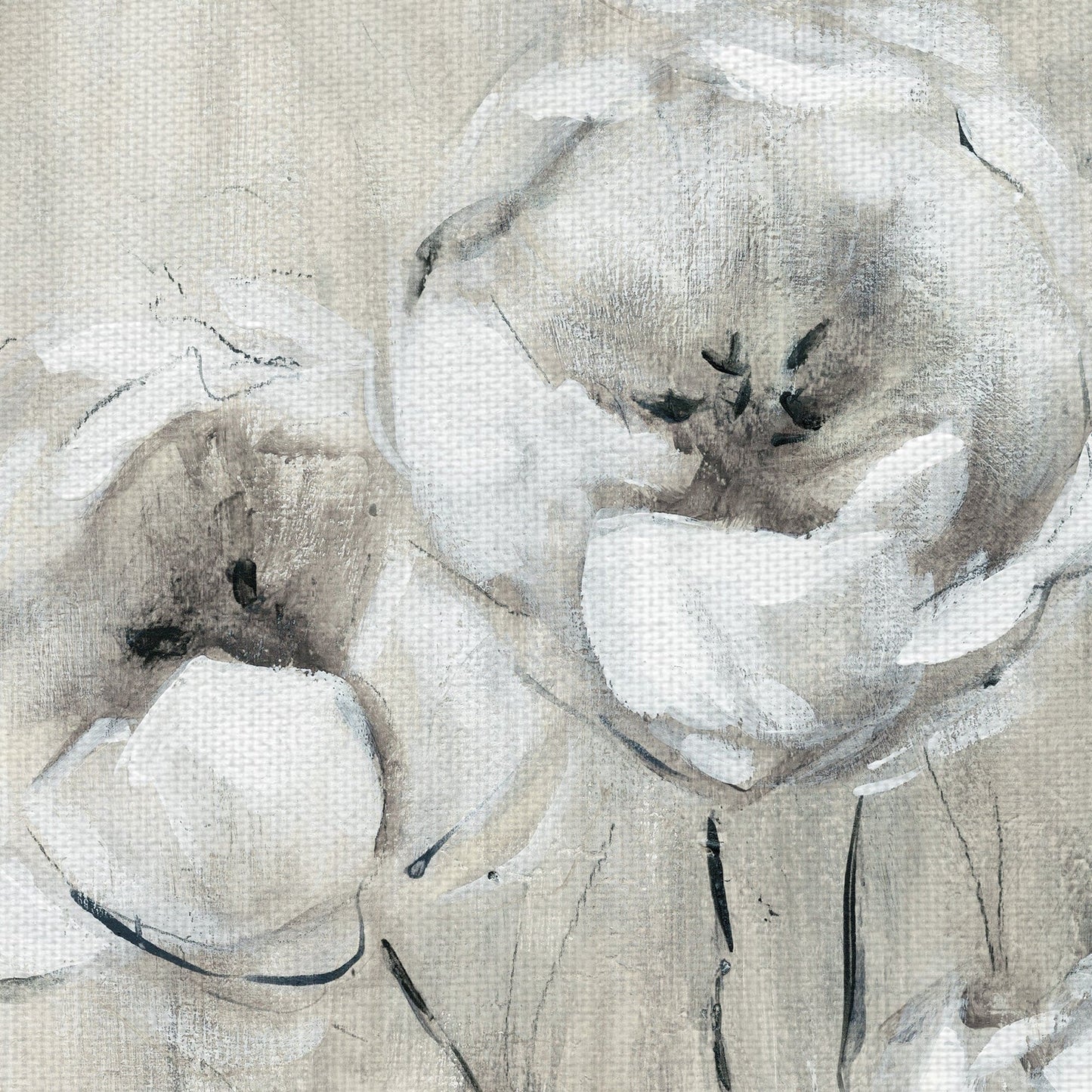 Tulipanes incompletos blancos - Carol Robinson