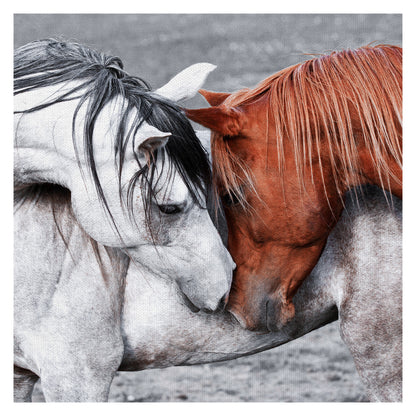 Caballo de un color diferente - Belle Maison