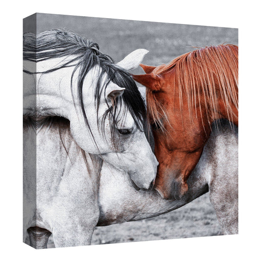 Caballo de un color diferente - Belle Maison