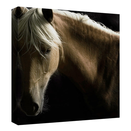Caballo Espiritu - Tony Stromberg