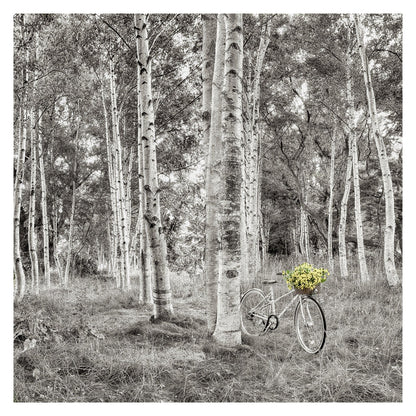 Paseo en bicicleta de girasol - Alan Blaustein