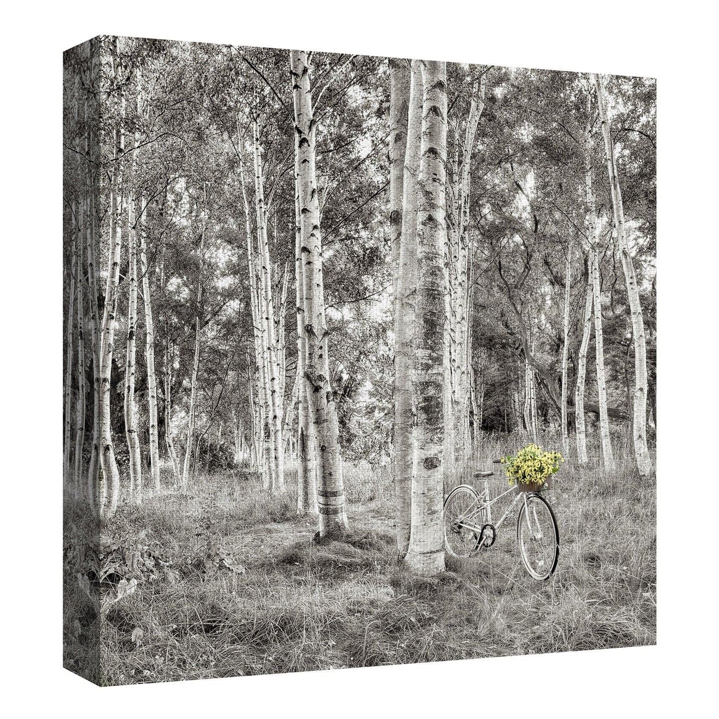Paseo en bicicleta de girasol - Alan Blaustein