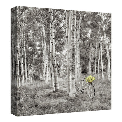 Paseo en bicicleta de girasol - Alan Blaustein