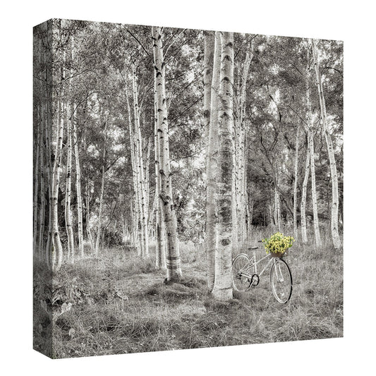 Paseo en bicicleta de girasol - Alan Blaustein