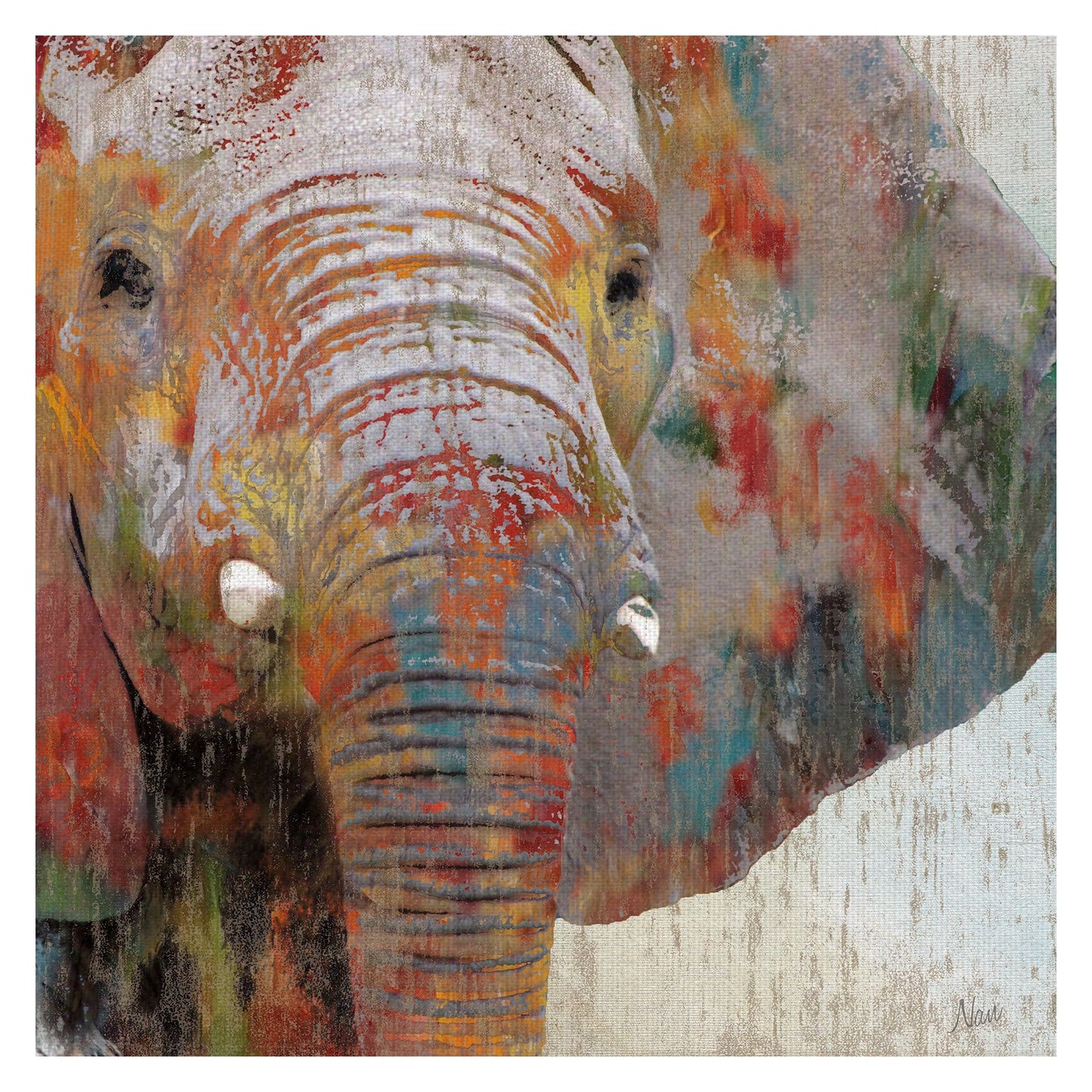Pintura Splash Elefante - Nan