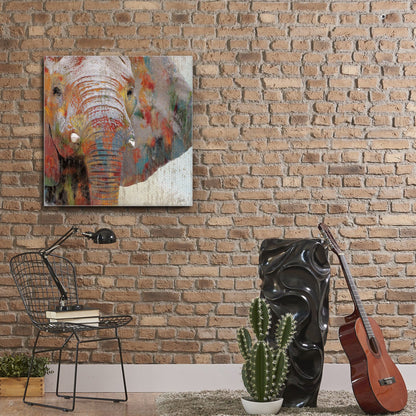 Pintura Splash Elefante - Nan