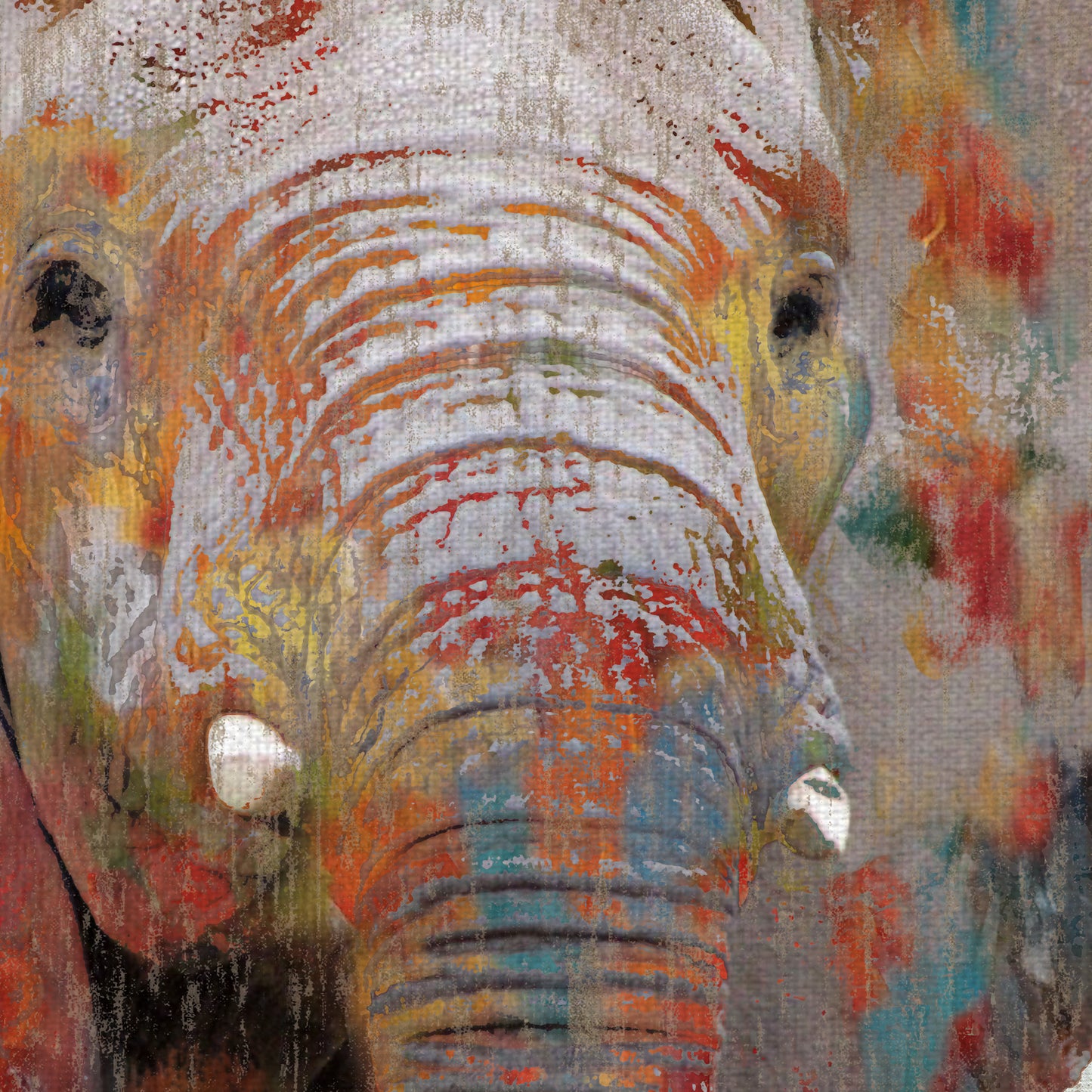 Pintura Splash Elefante - Nan