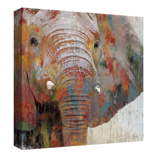 Pintura Splash Elefante - Nan