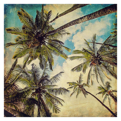 Palmeras de la isla de Kauai - Melanie Alexandra Price
