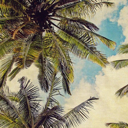 Palmeras de la isla de Kauai - Melanie Alexandra Price