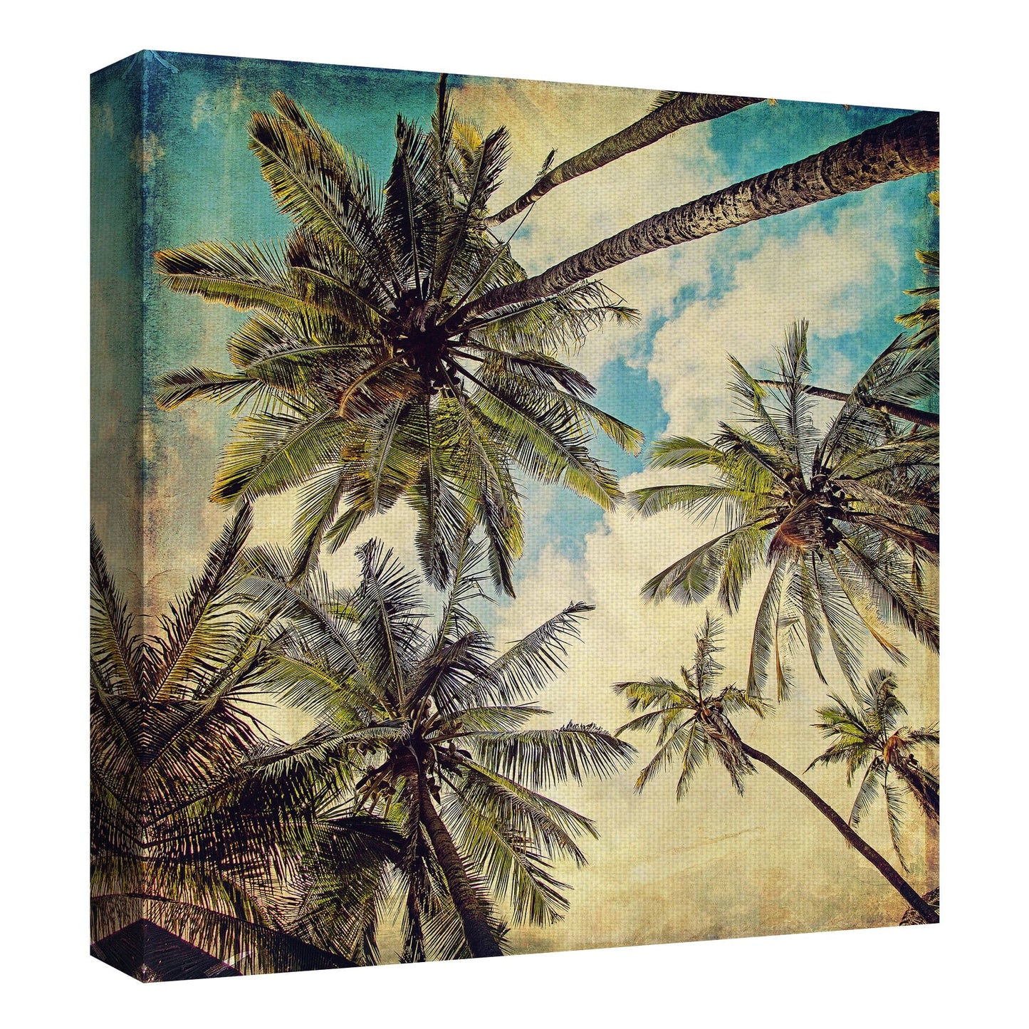 Palmeras de la isla de Kauai - Melanie Alexandra Price