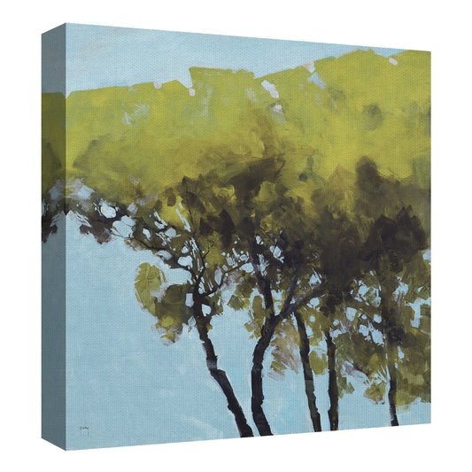 Primavera de los Cinco Arboles - Paul Bailey