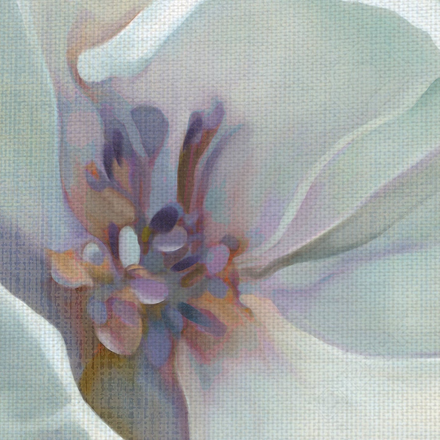Floracion iridiscente I - Carol Robinson