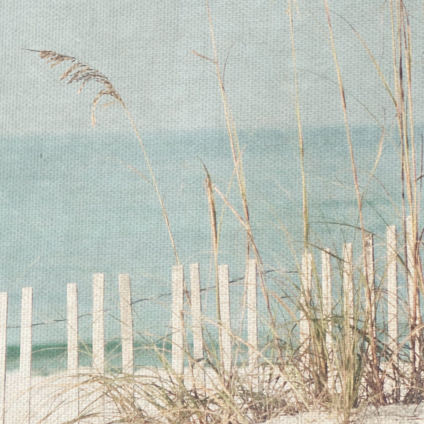 En la Plaza de Luz de la Playa - Kristen Naugle