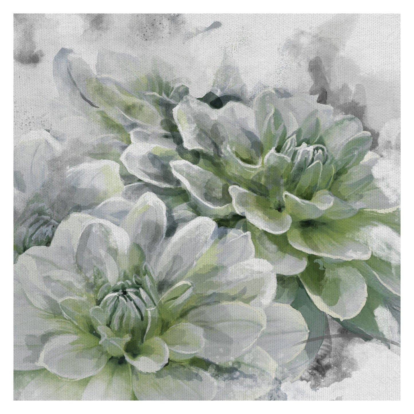 Angélica - Studio Arts
