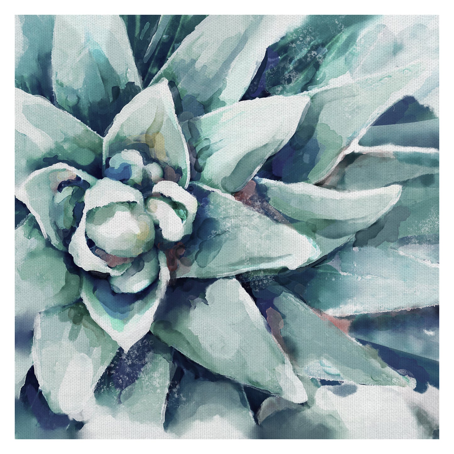 Suculenta acuarela - Studio Arts