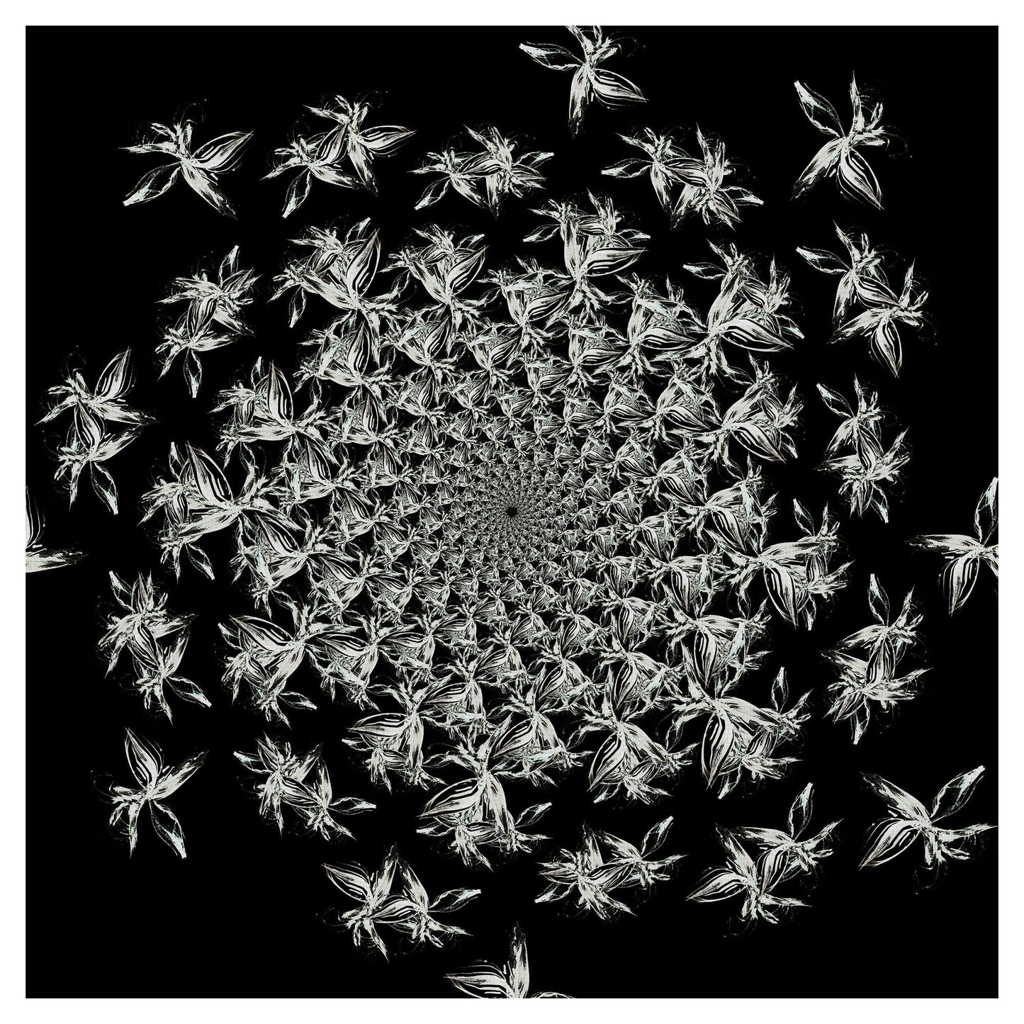 Estampado floral en blanco y negro III - Nikol Wikman