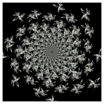 Estampado floral en blanco y negro III - Nikol Wikman