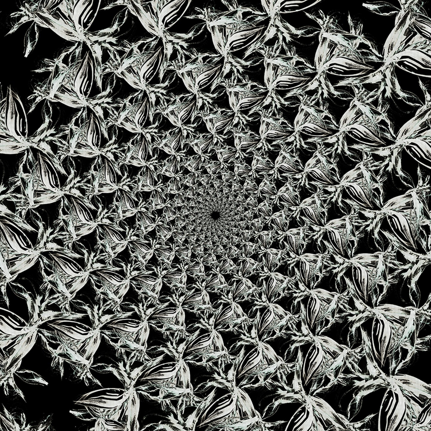 Estampado floral en blanco y negro III - Nikol Wikman