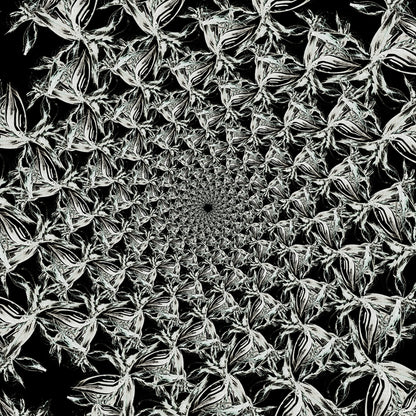 Estampado floral en blanco y negro III - Nikol Wikman