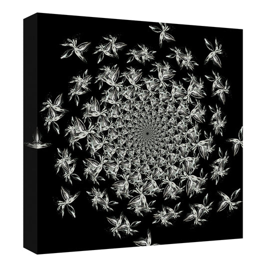 Estampado floral en blanco y negro III - Nikol Wikman