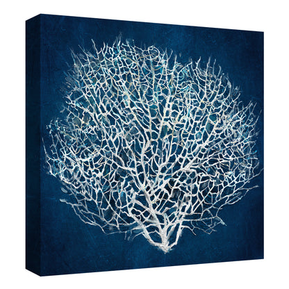 Abanico de mar II - Studio Arts