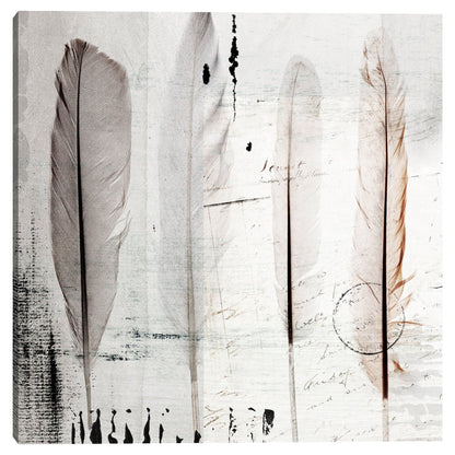 Cuatro plumas I - Belle Maison