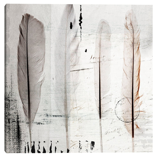 Cuatro plumas I - Belle Maison