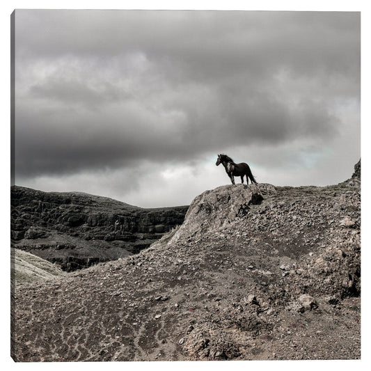 El Mirador - Belle Maison