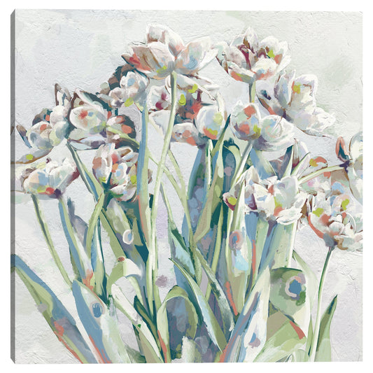 Primavera  Luz - Studio Arts