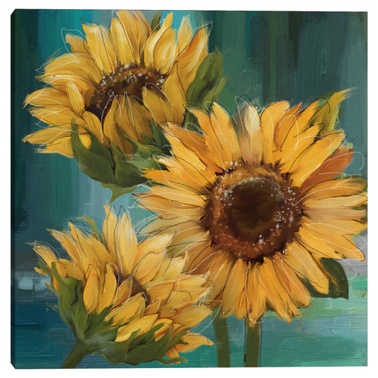 Girasol I - Conrad Knutsen