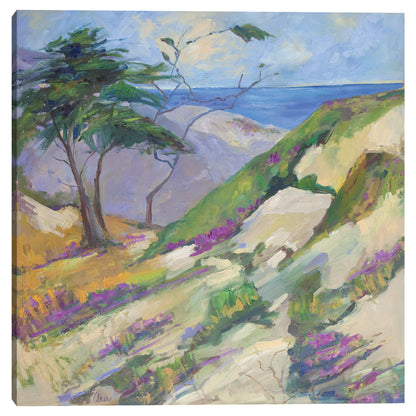 Carmelo junto al mar - Alexi Fine
