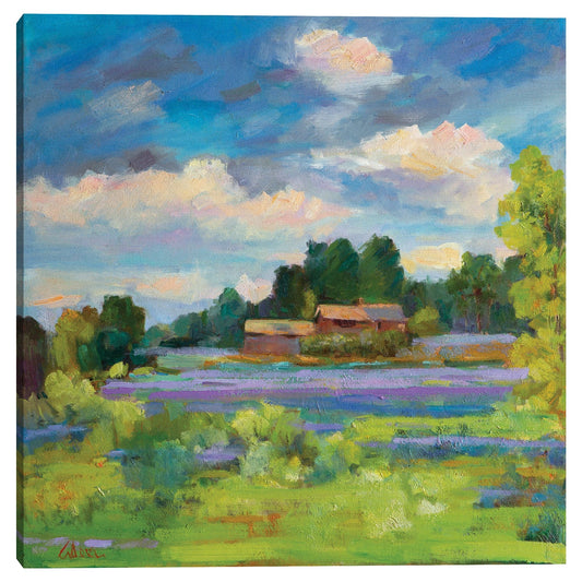 Campo de lavanda - Alexi Fine