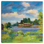 Campo de lavanda - Alexi Fine