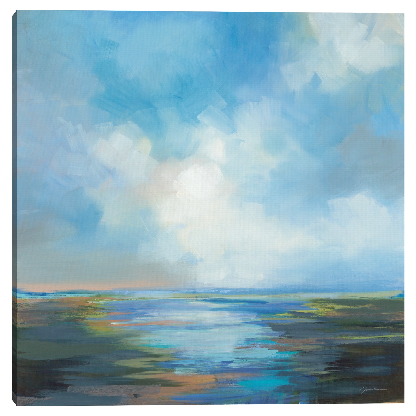 Mirando el cielo - Liz Jardine