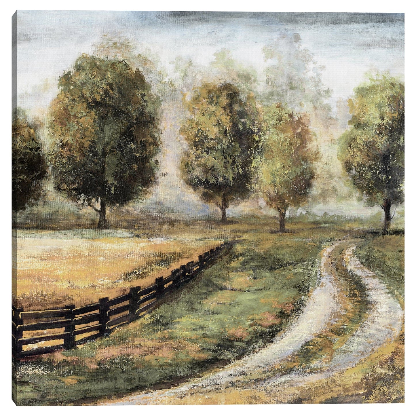 Volver a casa II Luz - Sandy Doonan