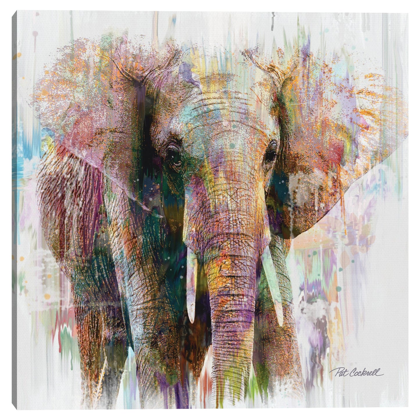 Retrato de elefante - Pat Cockrell